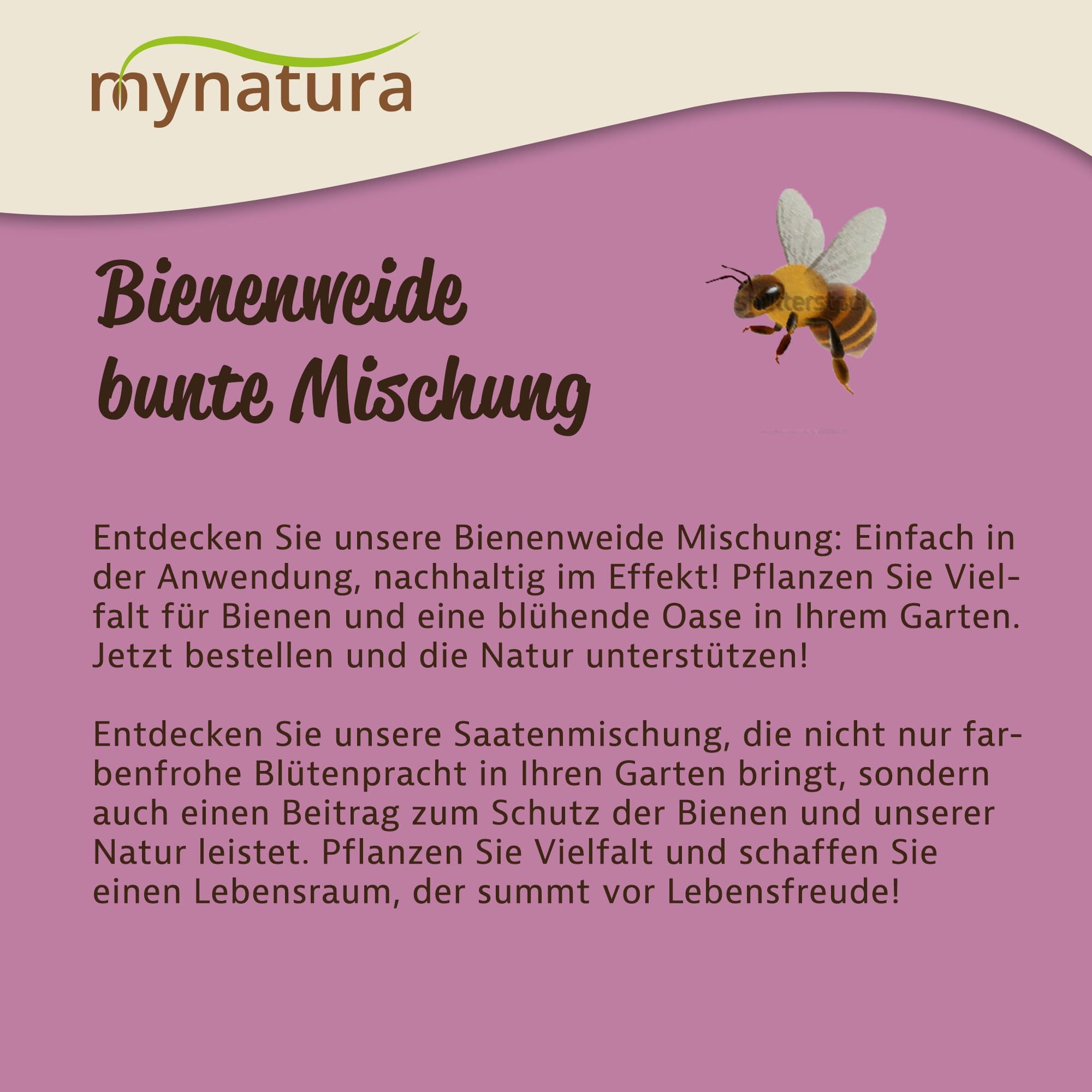 mynatura Bienenweide fr den Halbschatten und Schattenbereich Bienen |  Blumenwiese | Blumen | Weide | Saatgut | Saatmischung | Schmetterlinge |  Insekten | Lebensraum | Natur (1x50g) : Amazon.de: Garten
