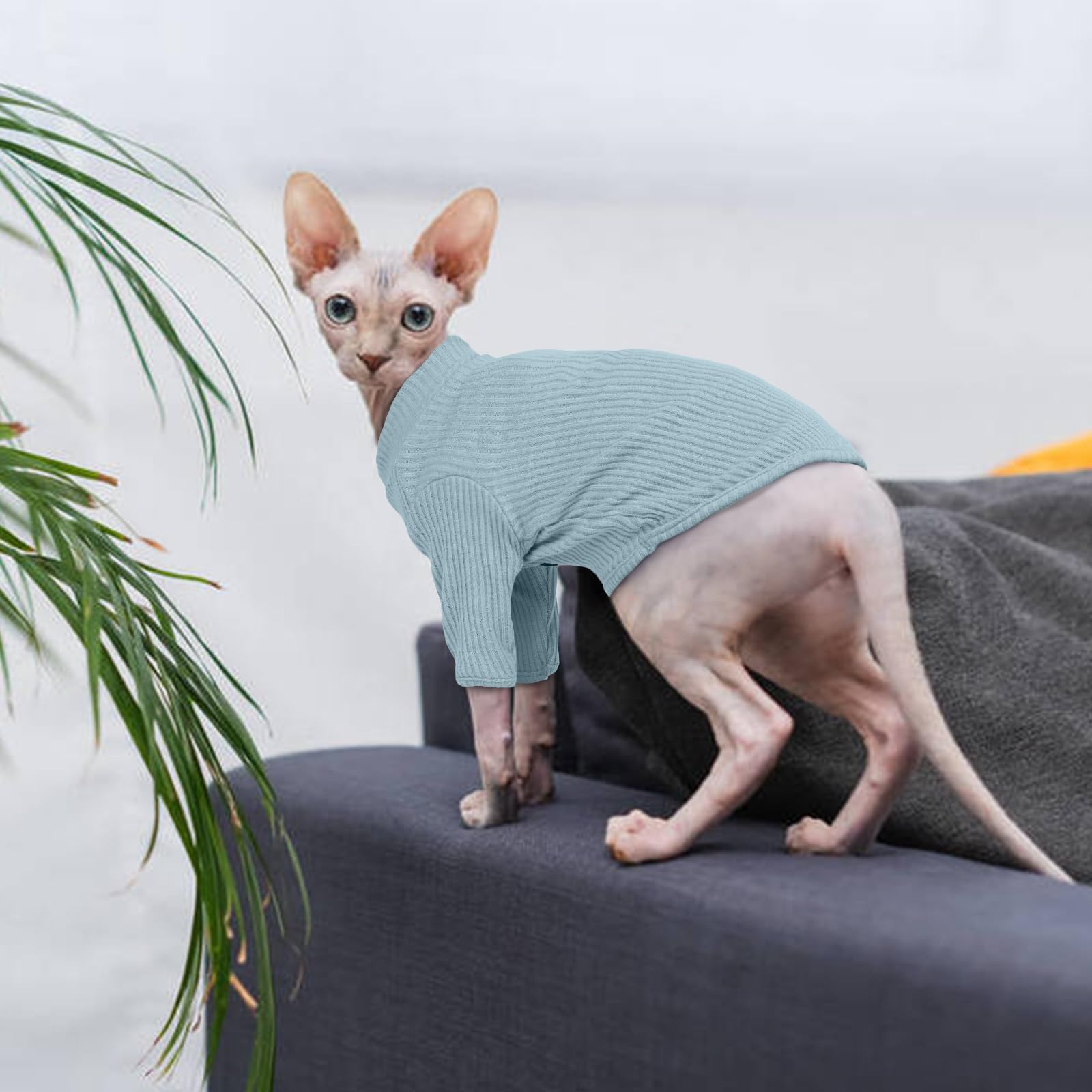 Cat Clothes, Sphynx Cat Clothing, Cat Jumper S, Cat Jumpers For Cats Only, Kitten Clothes, Kitten Jumper, Breathable Cat Pyjamas, Warm Cat Coat, Cat Sweater, Cat Vest For Sphynx,Cornish Rex — view 6