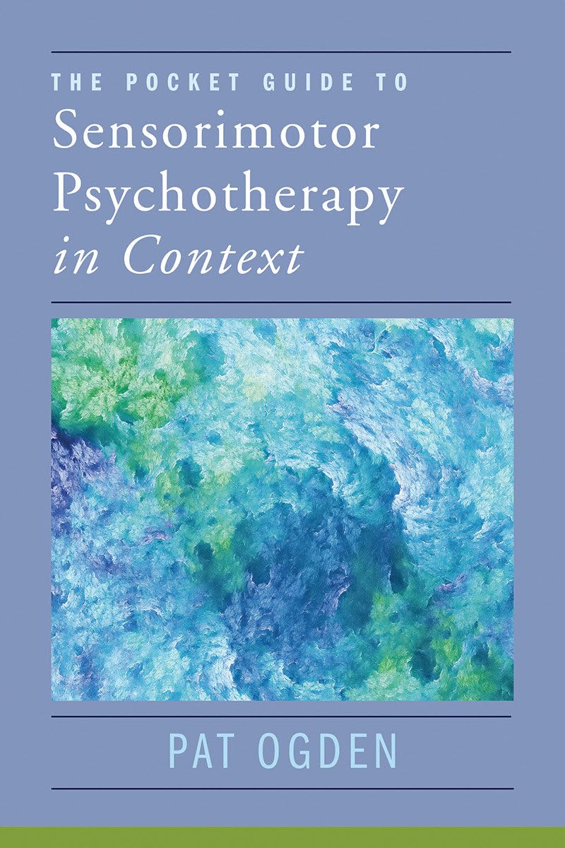 The Pocket Guide to Sensorimotor Psychotherapy in Cont Paperback – Import, 15 June 2021