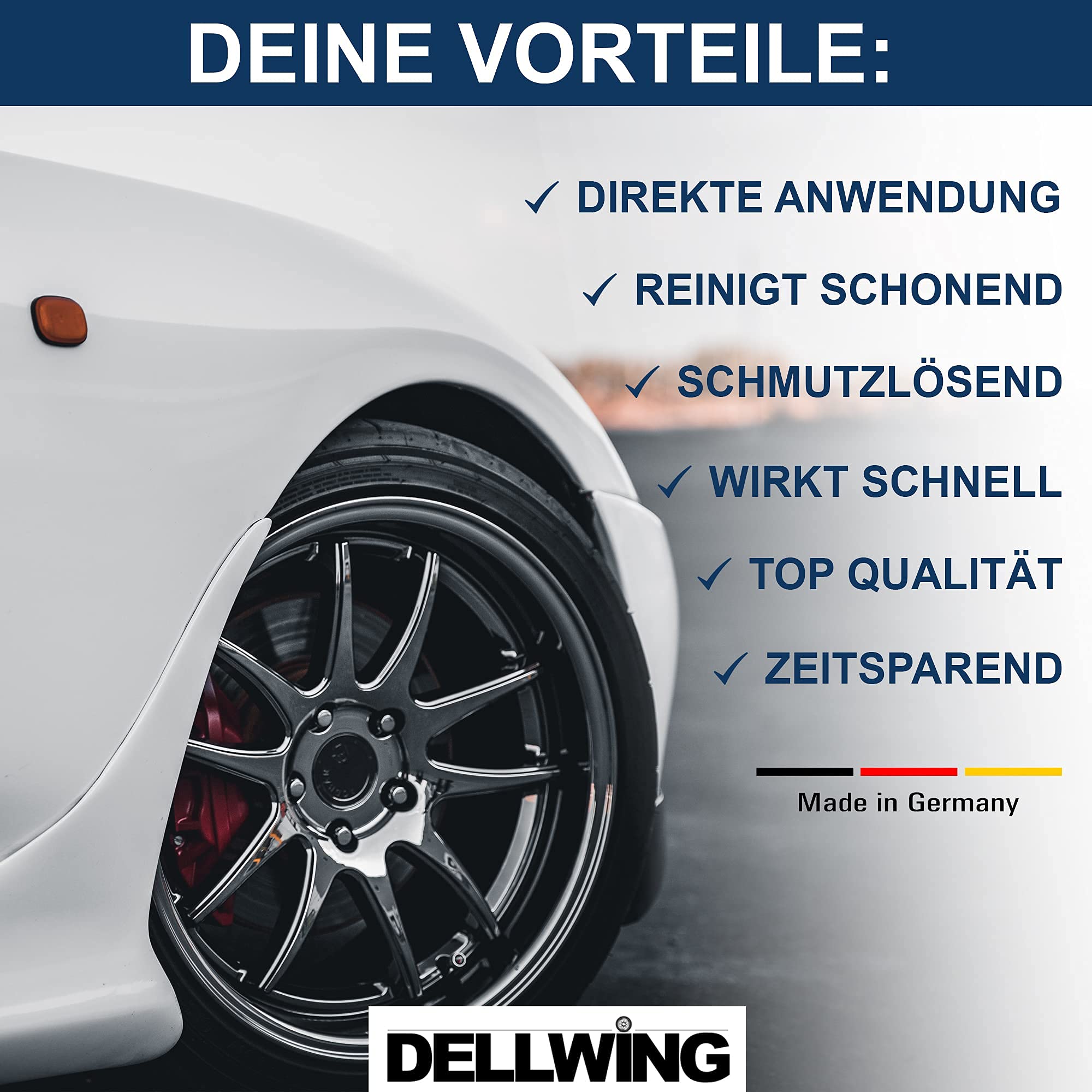 DELLWING Limpiador de llantas concentrado 25 L – Limpiador de llantas premium incluso para suciedad quemada – Alcalino