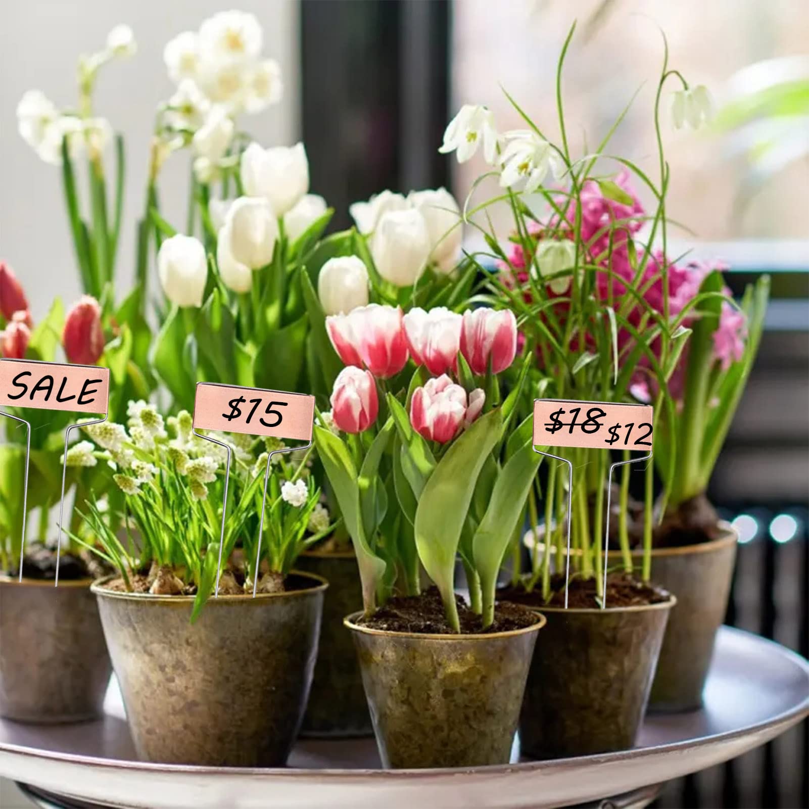 30 etichette per piante da giardino per piante da interno, giardino esterno, impermeabili, 15,2 cm, etichette da giardino, etichette per piantine, fiori, verdure, erbe aromatiche, semi per vivaio