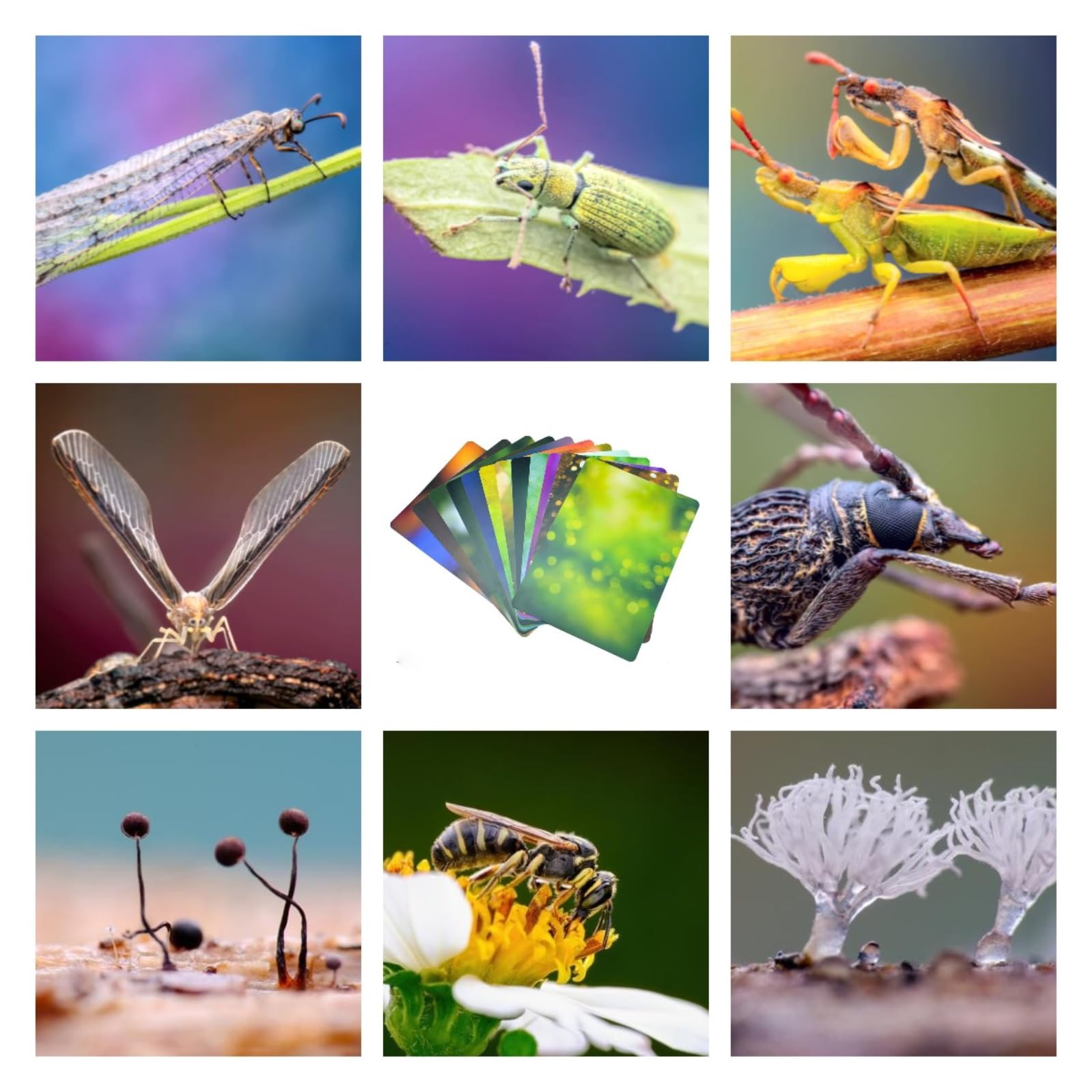 Guage - Set di carte di sfondo macro 12 pezzi 24 colori (30 x 21 cm) materiale assorbente sfocatura ecologica A4