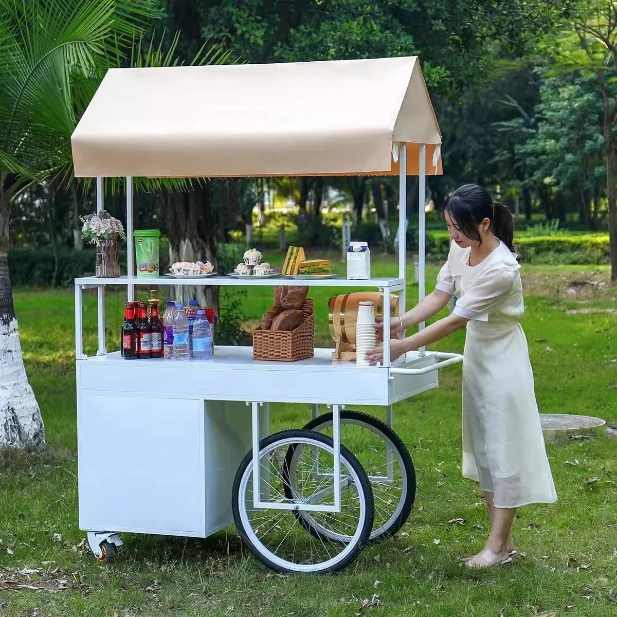 Carrello mobile con tettoia e contenitore, ideale per mercatini ed eventi di street food