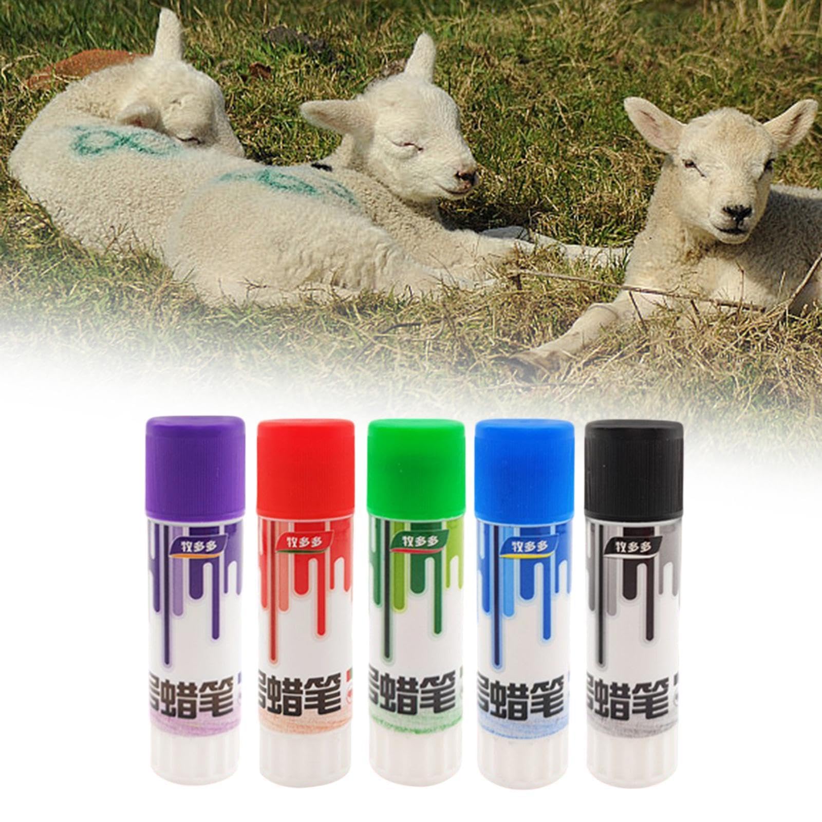 MagiDeal 5X marqueur de bétail Crayon Cochon bovins Vache Mouton marqueur Identification des Animaux Agriculture bétail marquage Accessoires avec Couvercle