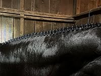 Review Image by Julia Julia