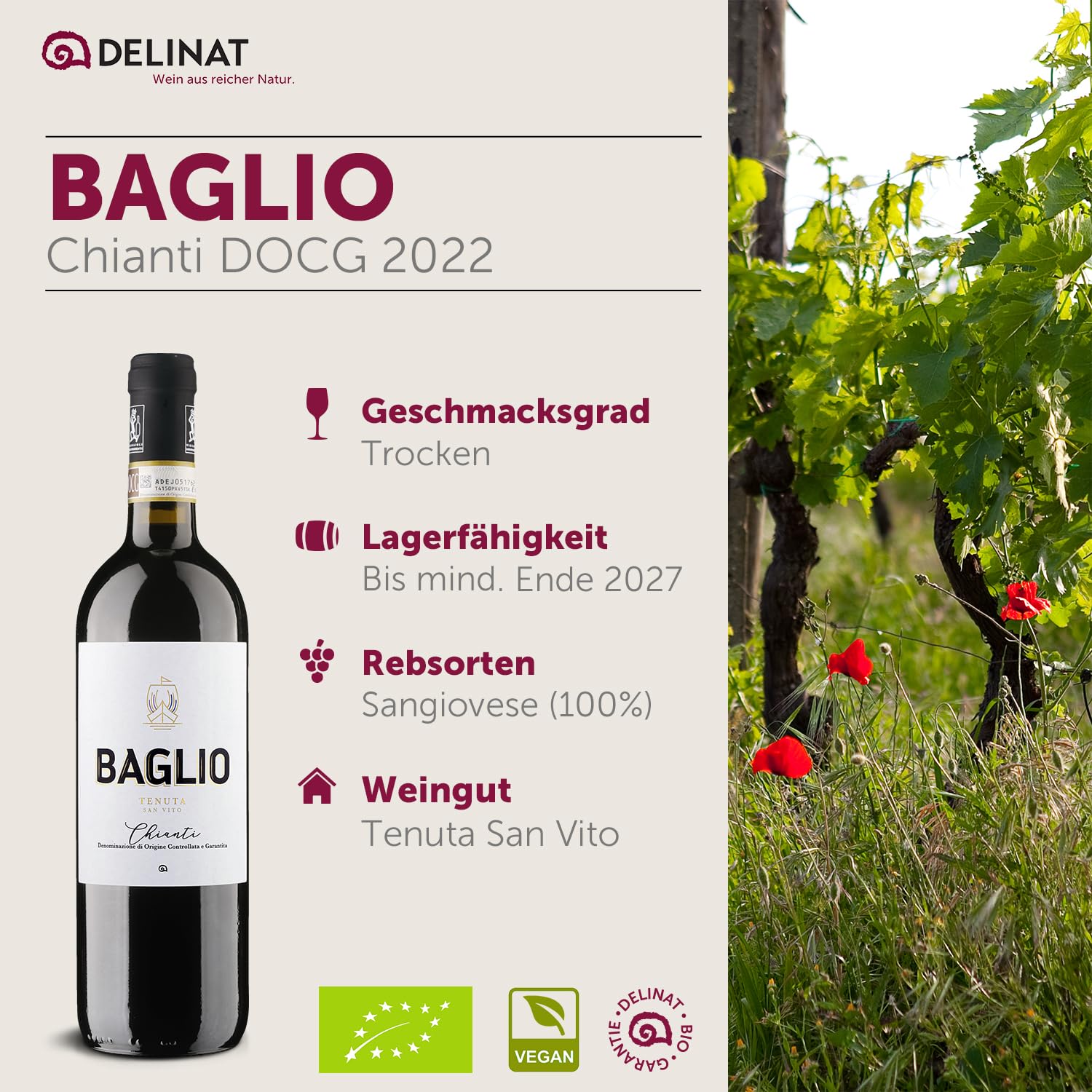 DELINAT Bio Rotwein Set Bella Italia – 6 Flaschen Italien Probierpaket | Rotwein aus den Rebsorten Primitivo, Ripasso & Nero d'Avola – 5x trocken, 1x halbtrocken, veganer Premium Wein 6 x 0,75l