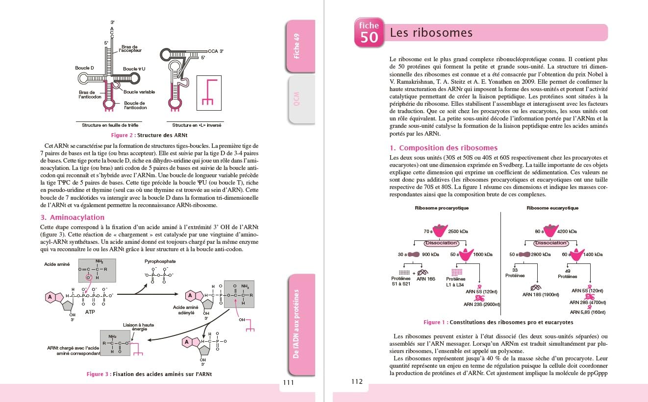 Le cours de biologie cellulaire et moléculaire - 5e éd.