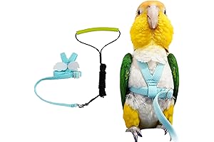 Pet Bird Flight Harness, Adjustable Traction Rope with Cute Wings for Parrots,...