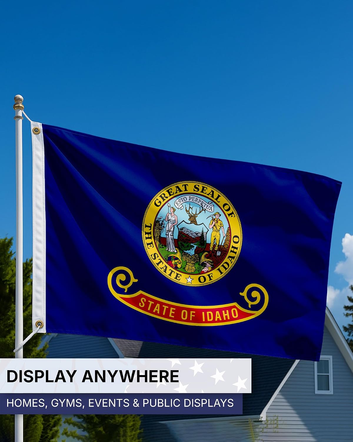 AGAS Idaho State Flag 4x6 Ft - Single Ply Reverse Print on Back 200D Nylon 100% Bleed Through - Brass Grommets Stitched Edges Fade Proof Sharp Vivid Colors - State of Idaho Flag Banner