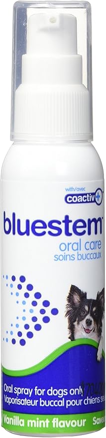 bluestem dog teeth cleaner