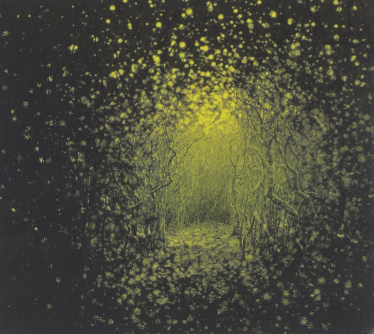 Burst Apart [Audio CD] The Antlers; Peter Silberman; Darby Cicci and Michael Lerner