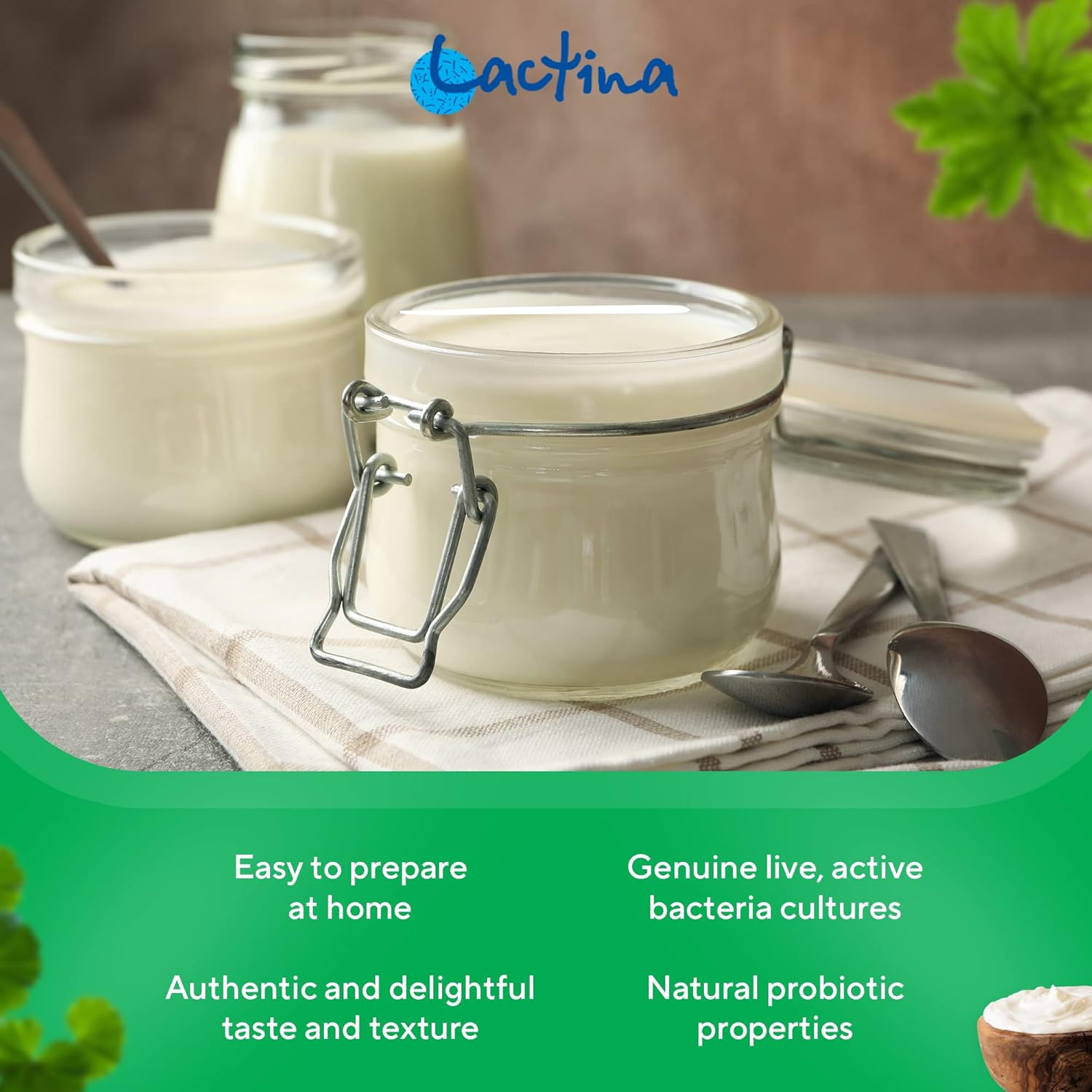 Buy Bulgarian Yogurt Starter Culture Natural Probiotic Yogurt Culture Starter Homemade Yoghurt