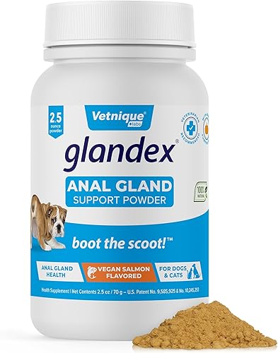 Glandex - Suplemento de fibra para glándula anal para perros y gatos, polvo vegano de 2.5 onzas con calabaza y enzimas digestivas, intestinos
