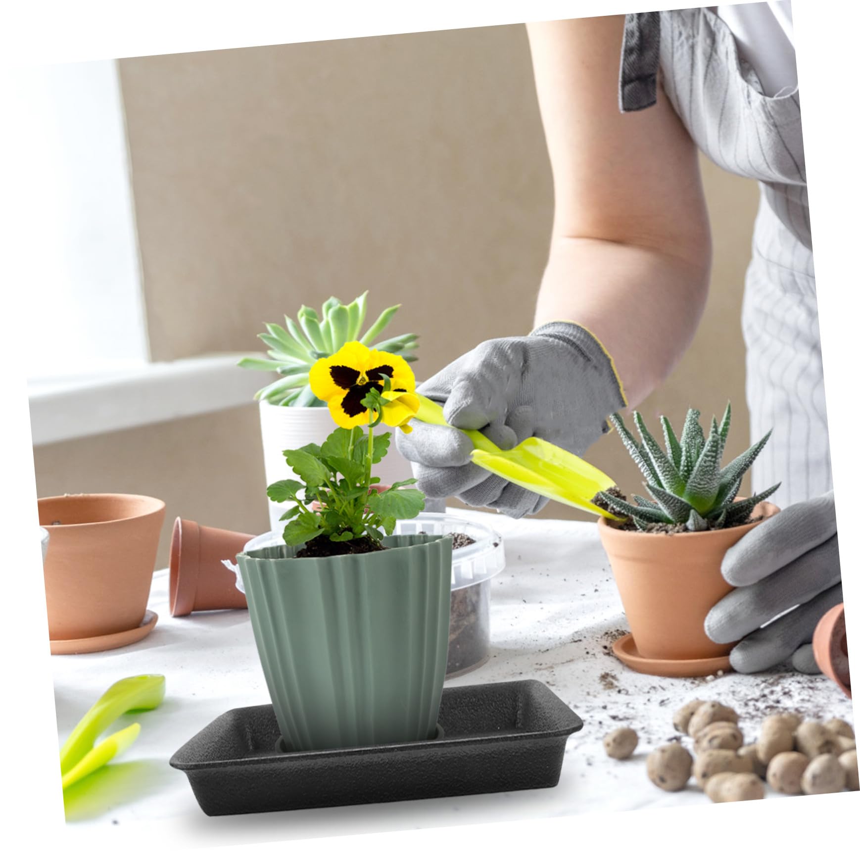 Platillos Rectangulares Negro de Plástico para Macetas 6 Piezas | Bandeja para Plantas de Mesa, Uso Exterior y Jardín, Evita Fugas, Protege Suelos y Muebles