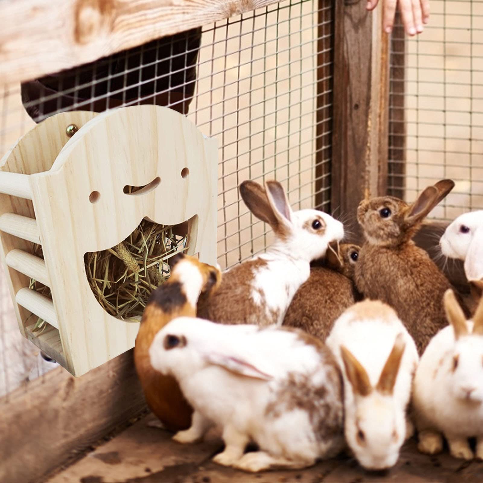 Amazon | 牧草フィーダー うさぎ 小動物 モルモット チンチラ