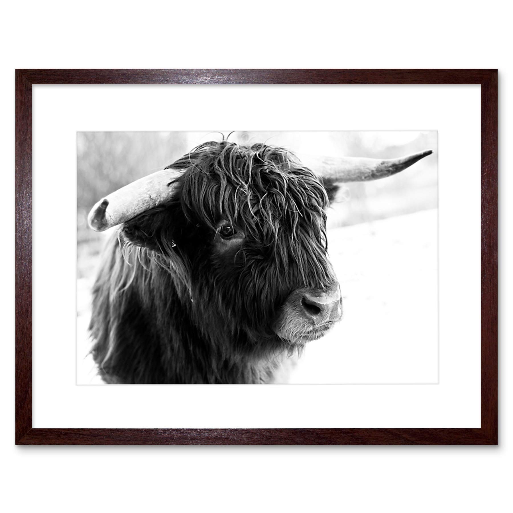 Wee Blue Coo Photo Composition Animal Livestock Highland Cow Bull Framed Wall Art Print