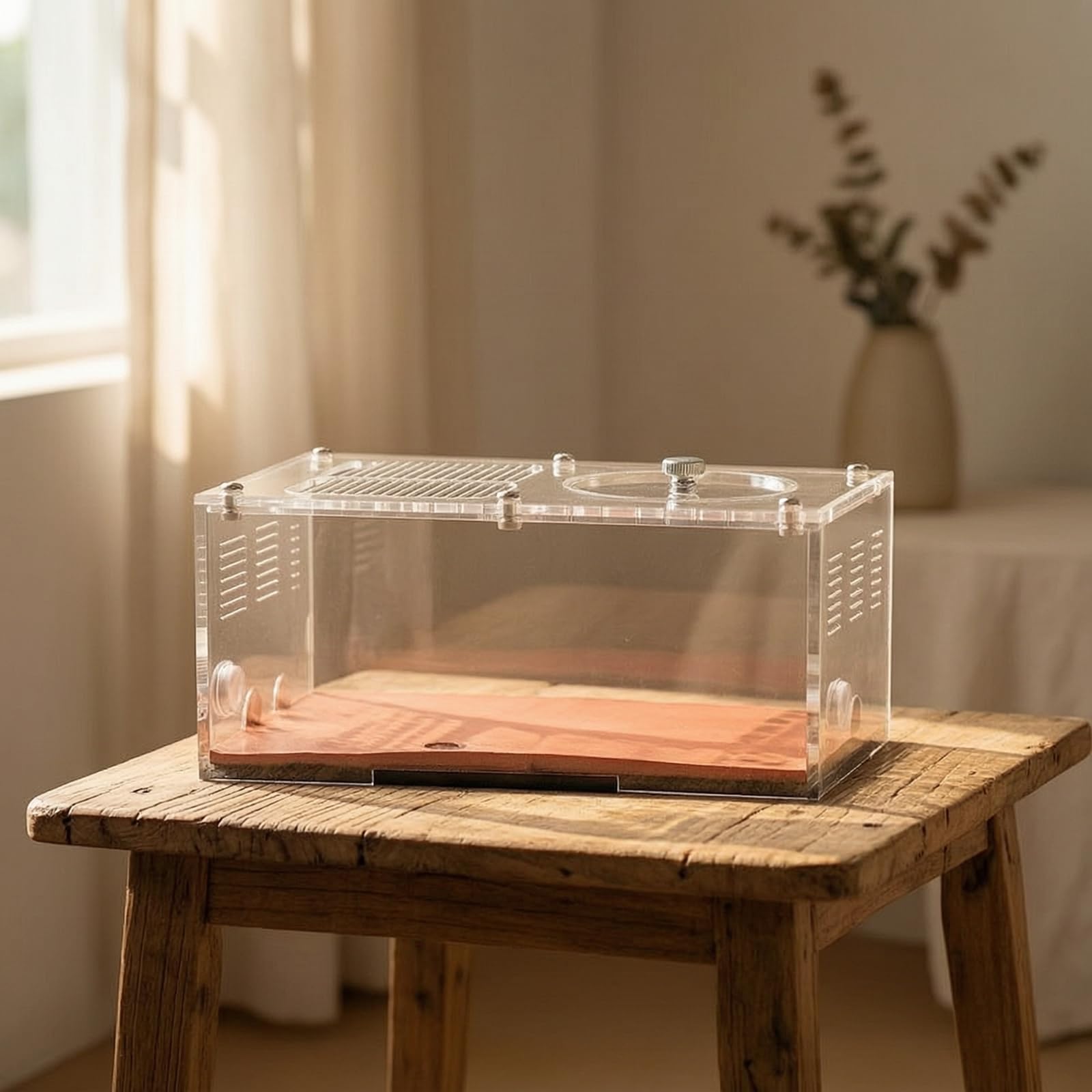 Formicaio in Acrilico Modulare Kit Nido di Formiche Trasparente Habitat per Appassionati, Mirmecologi, Osservazione Scientifica, Nido B Normale