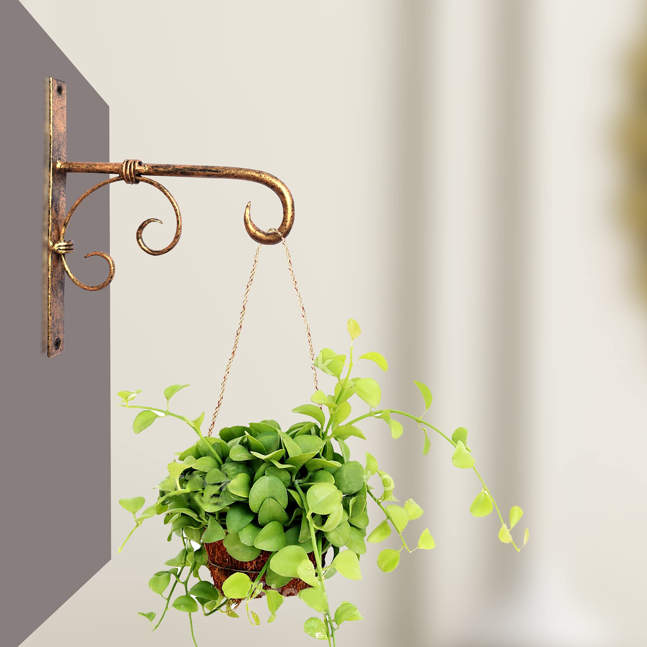 Wall Brackets for Hanging Pots//Plant Hanging Hooks//Hooks for Hanging Pots.Size-(19" by 17") cm,Antique Golden-image-15