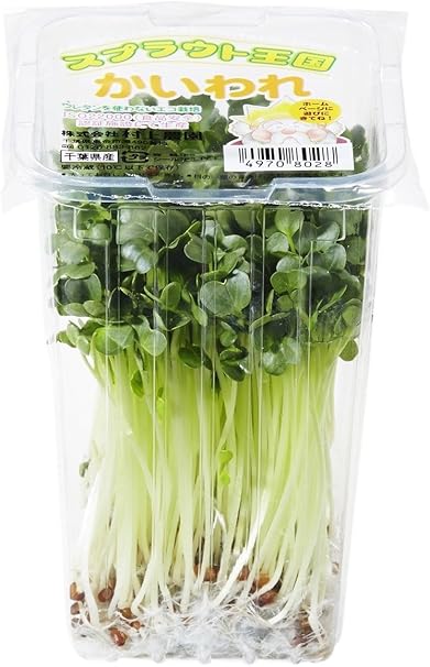 Amazon Co Jp 国内産 貝割れ大根 1パック 28g 食品 飲料 お酒