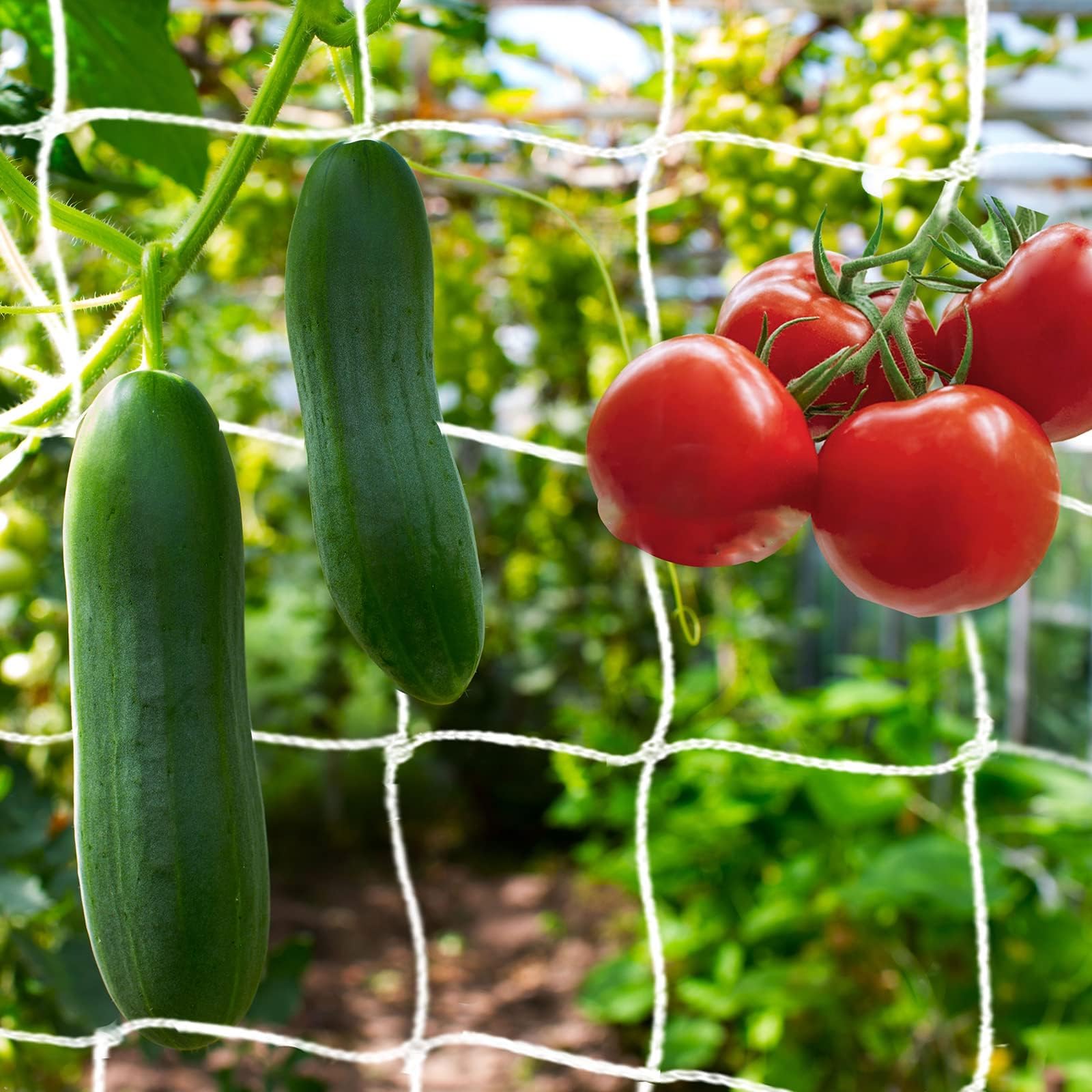 Garden Netting Polyester Trellis Net Plant Pea Support Netting for Bean Fruits Plants Flower Climbing lant Support Climbing Garden Trellis Netting Grow Tents Heavy-Duty Polyester (White