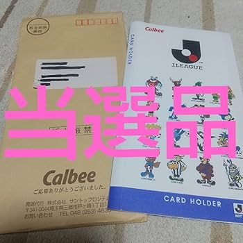 カルビーポテトチップ　Ｊリーグ　カードセット カルビー - 【値下げ】Jリーグチップスカード、カードホルダー