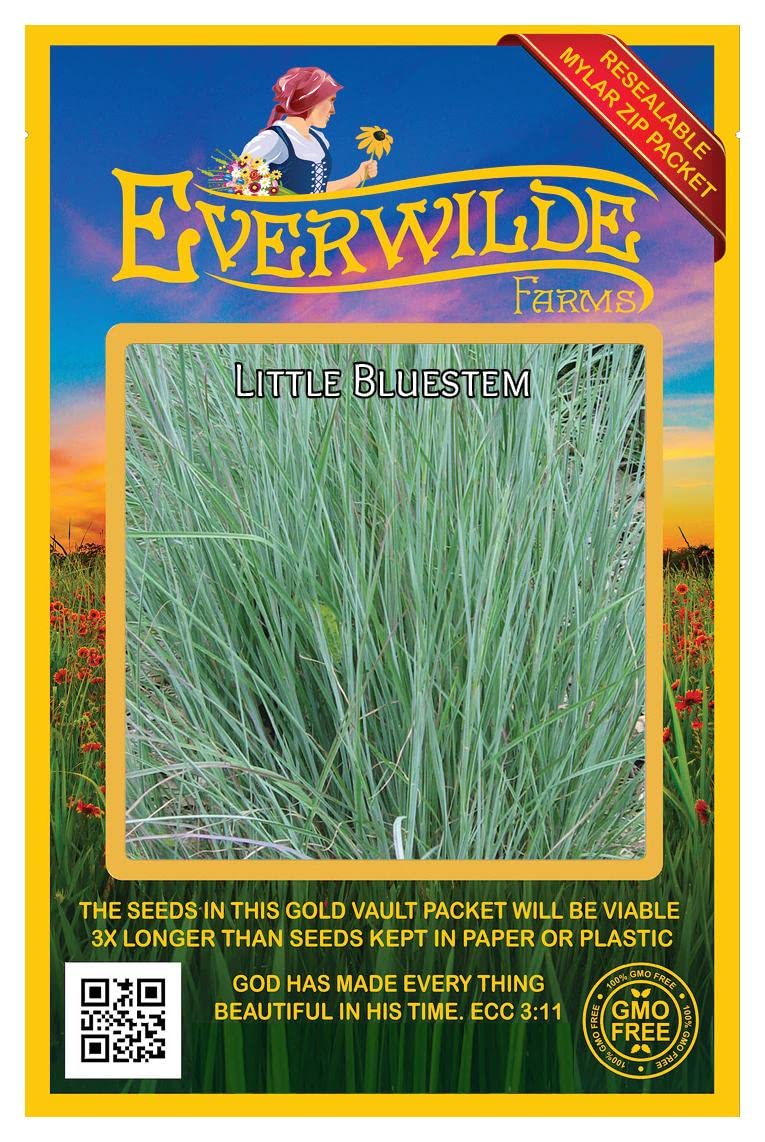 Everwilde Farms - 1000 Little Bluestem Native Grass Seeds - Gold Vault Jumbo Seed Packet
