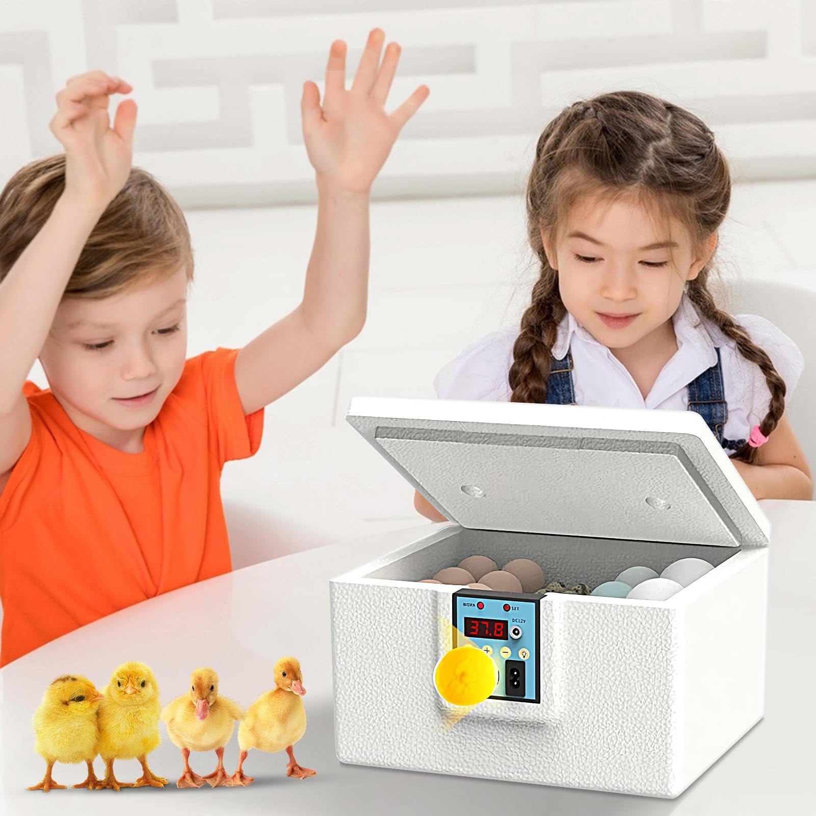 Incubatrice Per Uova | Riscaldato Intelligente Per Pulcini,Controllo Temperatura Automatico Con Schiusa In