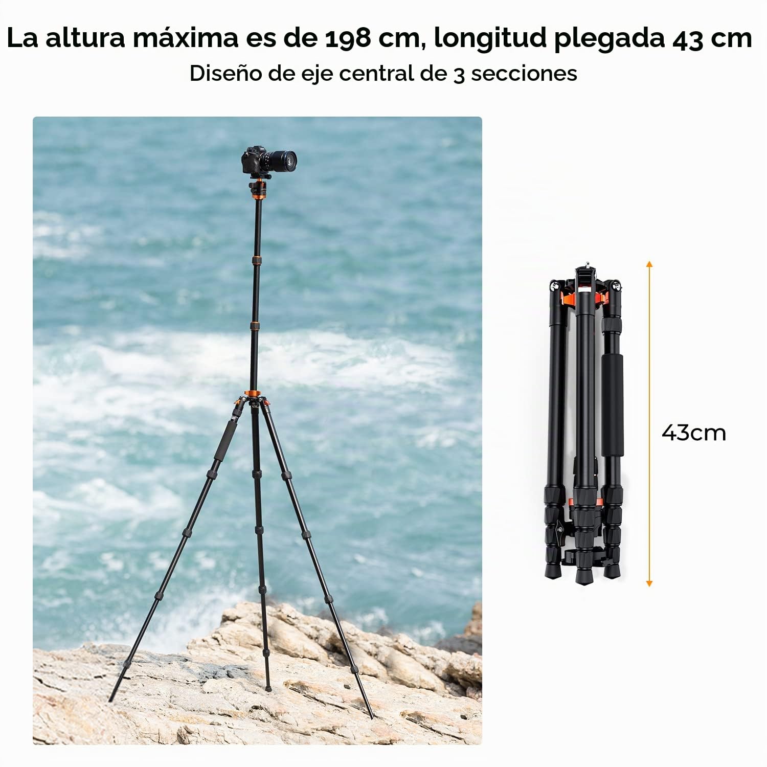 K&F Concept Trípode Cámara 198cm | Aluminio con Monopie, Trípode Fotografía Professional, Rótula de Bola 360°, O255A6+BH-32L
