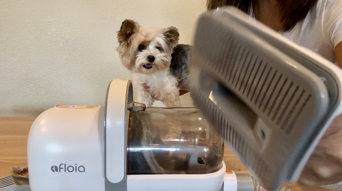 Watch Grooming pet and vacuum kit video in action! Afloia pet kit