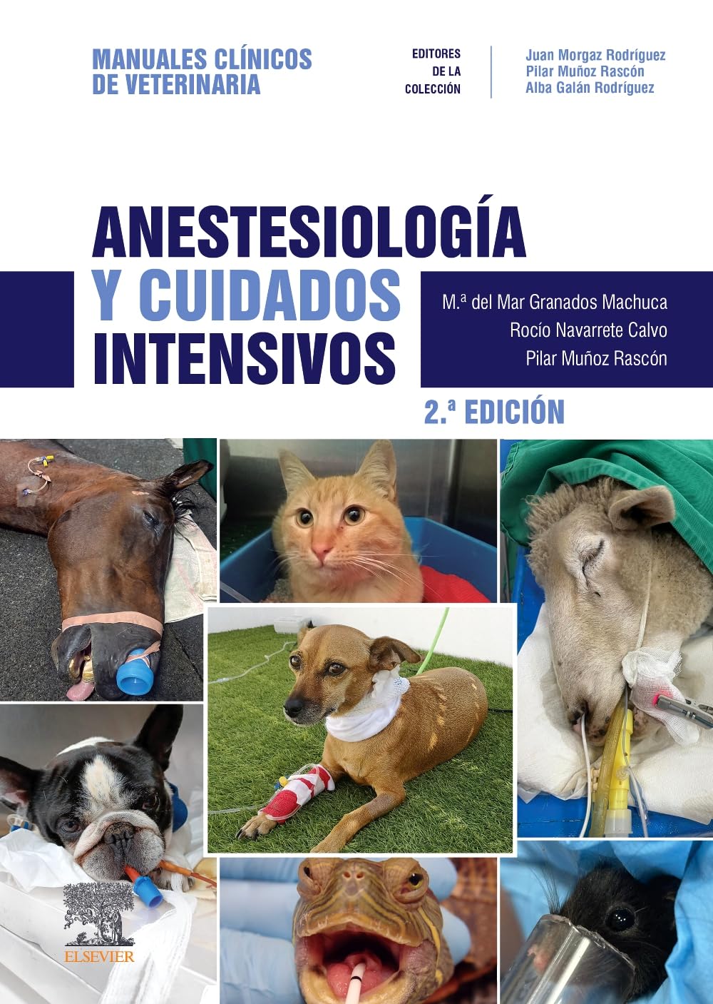 Anestesiología y cuidados intensivos: Manuales clínicos de Veterinaria
