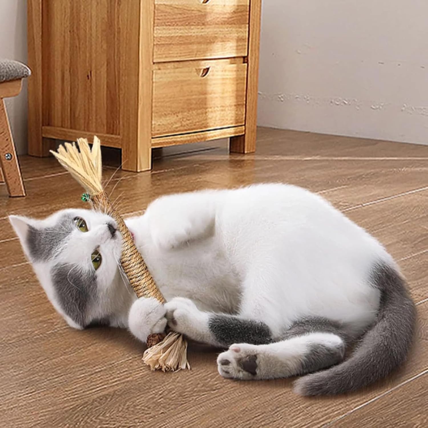 GDSAFS Natural Silvervine Dental Sticks, Silvervine Sticks für Katzen, Interaktiver Katzen-Kaustab für Zahnreinigung, kratz- und bissfest, für Indoor-Kitty-frischen Atem, gesunde Zähne (6-MixAB)