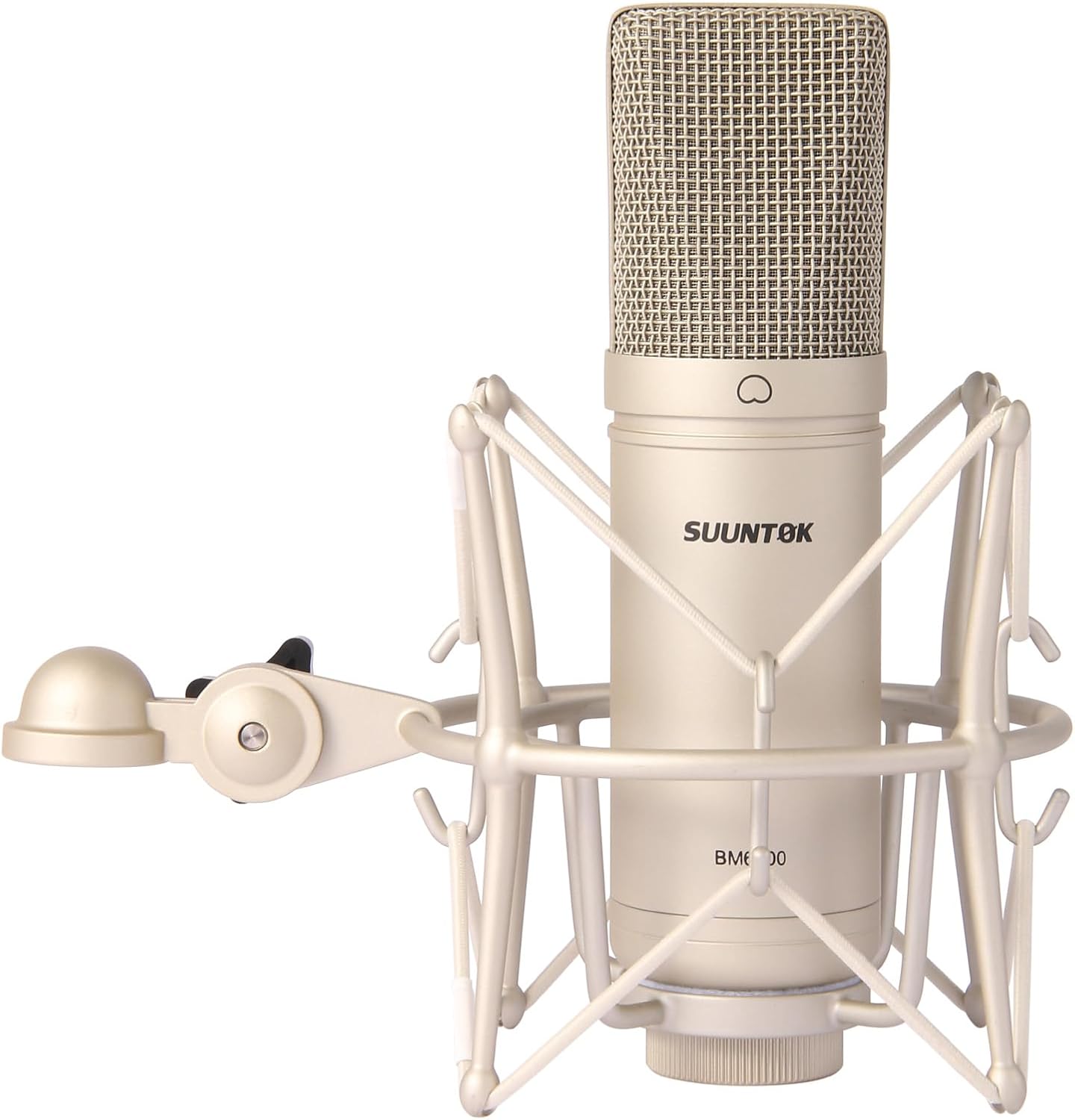 Condenser Microphone XLR, Large Diaphgram Professional Recording Cardioid Microphone Kit with Shock Mount, for Studio, Live Streaming, Podcas (Silver)
