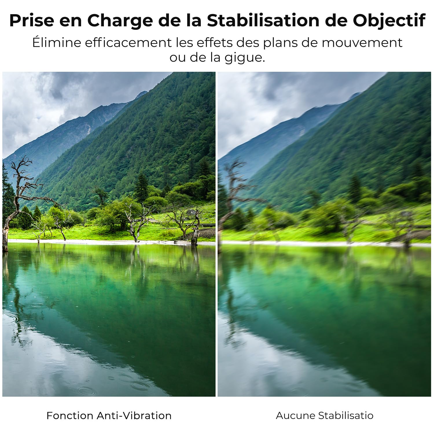 K&F CONCEPT compatibile Con Canon Auto EF/EF-S vers EOS R Adaptateur Métal avec Autofocus avec étui de Protection