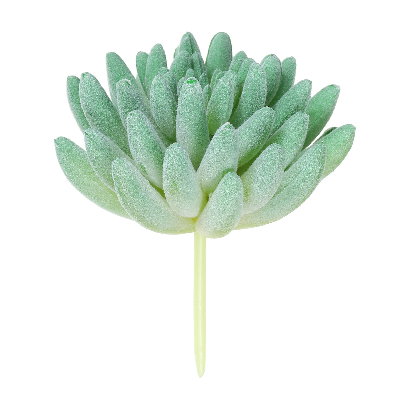 Succulentes artificielles aspect texturé réaliste fausses plantes PATIKIL