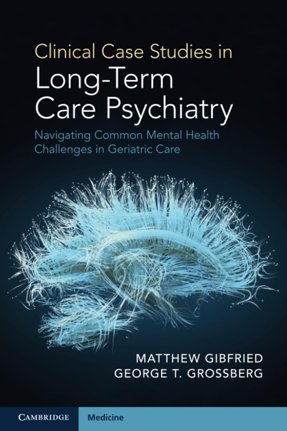 Clinical Case Studies in Long-Term Care Psychiatry: Navigating Common Mental Health Challenges in Geriatric Care