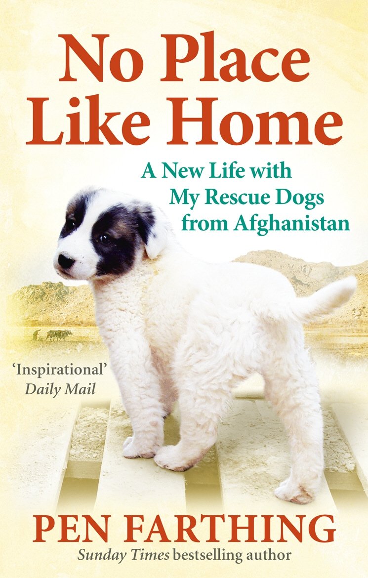 No Place Like Home: A New Beginning with the Dogs of Afghanistan