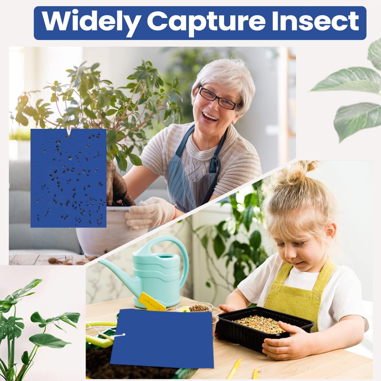 Qualirey 200 trampas adhesivas azules de 6 x 8 pulgadas para trips de doble cara para plantas de mosquitos, control de plagas para mosquitos de hongos, trips, moscas blancas, paquete a granel con
