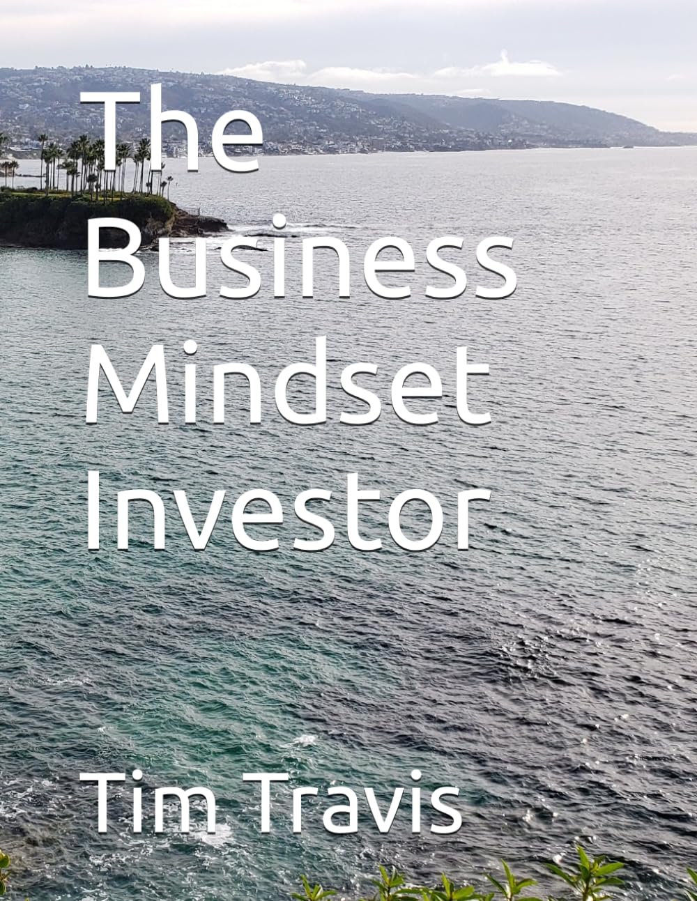 The Business Mindset Investor