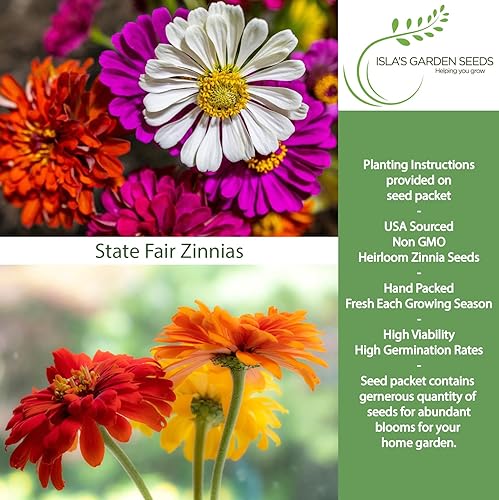 Miniatura 2 de "State Fair Mix" - Semillas de flores de zinnia para plantar, más de 100 semillas por paquete, semillas de jardín de Isla, sin OMG y semillas de