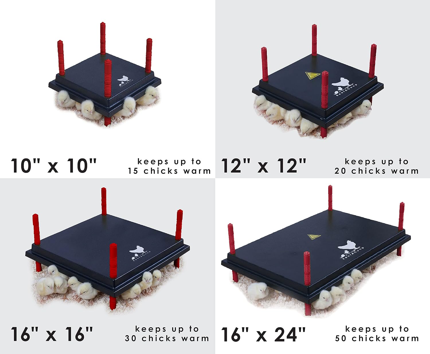 RentACoop (16" x 16") Chick Brooder Heating Plate - Warms Up to 30 Chicks - 42 Watts