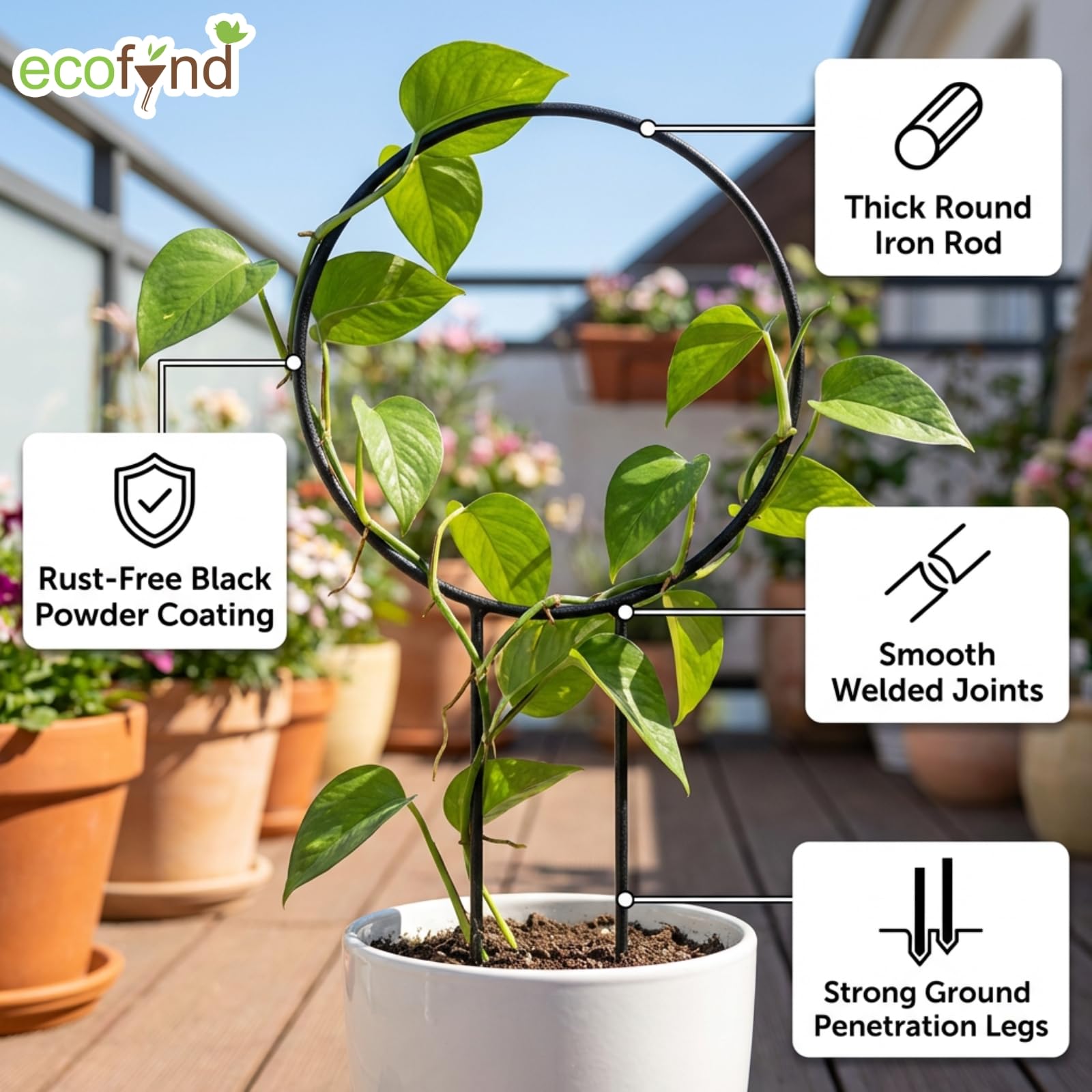 ecofynd Metal Garden Trellis for Climbing Plants, Round Shape Plant Support Stake, Single Stem Flower Support Frame for Vines, Indoor Outdoor Garden Decor, Easy Install Support Stand (Pack 2, Black) 1