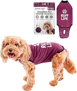 BellyGuard Dog Surgery Recovery Suit, Dog Onesie for Post-Op Care, Recovery Apparel for Female and Male, Surgical Body Cover for Canine Healing Support