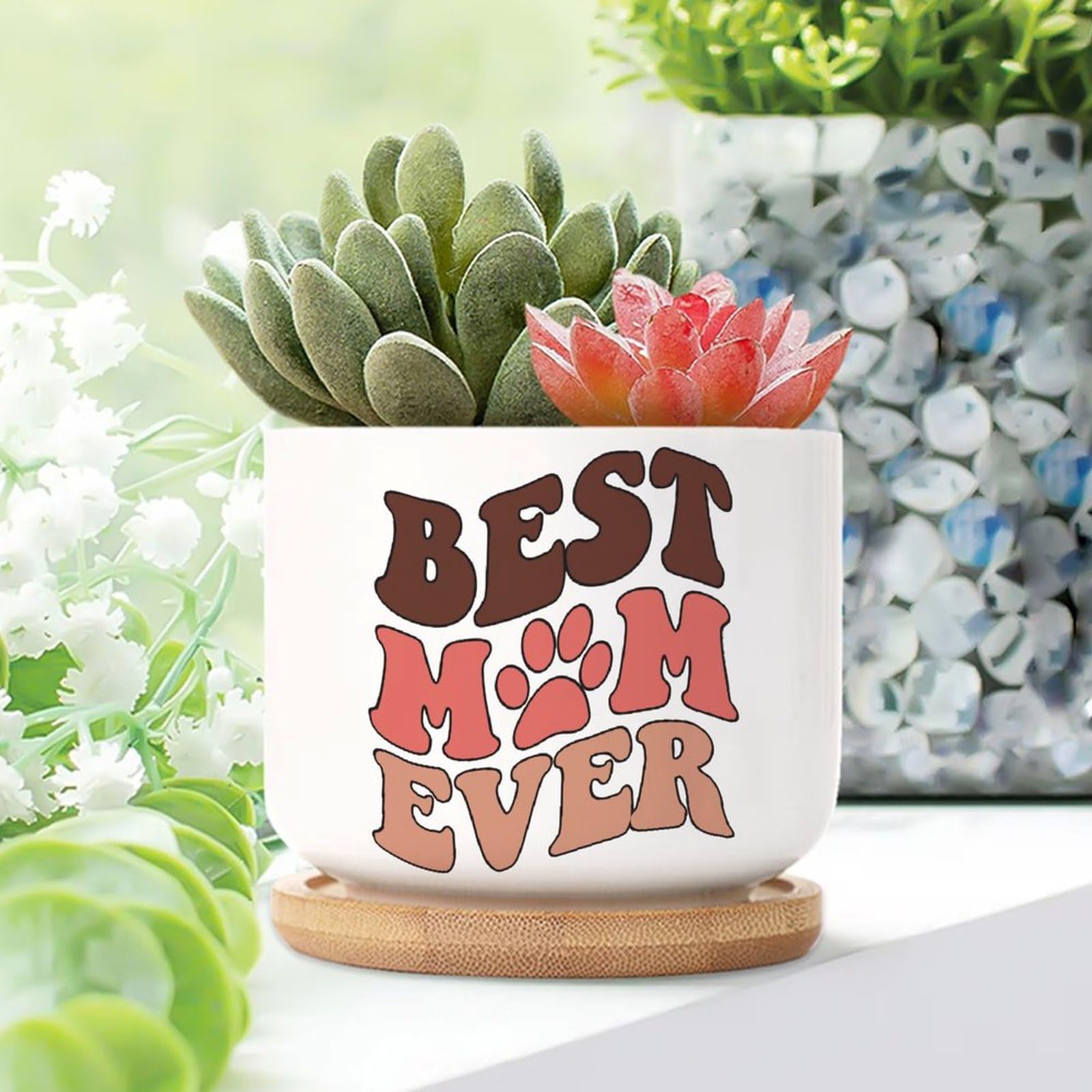 WoGuangis 1 Piece Small Ceramic Planters for Indoor Best Mom Ever Ceramic Plant Pot with Drainage Mother's Day Quote Mom Quotes Succulent Planters Birthday Plant Pot