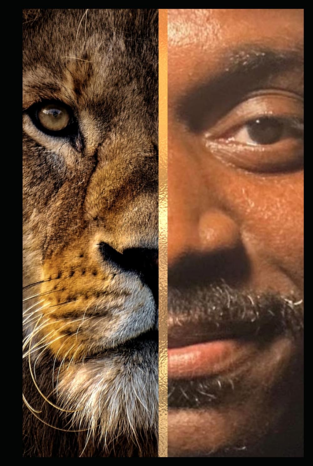 Life of a King: A True Story of Domestic Violence