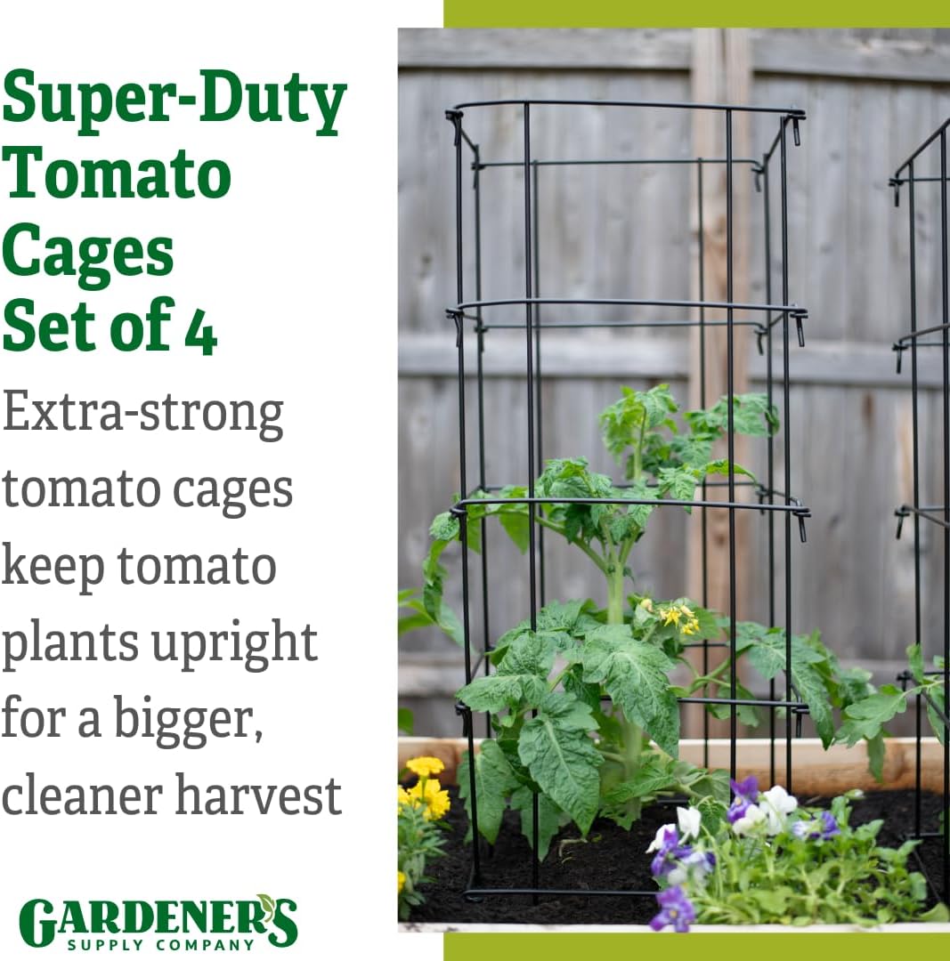 Gardener's Supply Company Super-Duty Tomato Cages | Stackable Plant Support for Indeterminate Tomatoes | Black - Set of 4