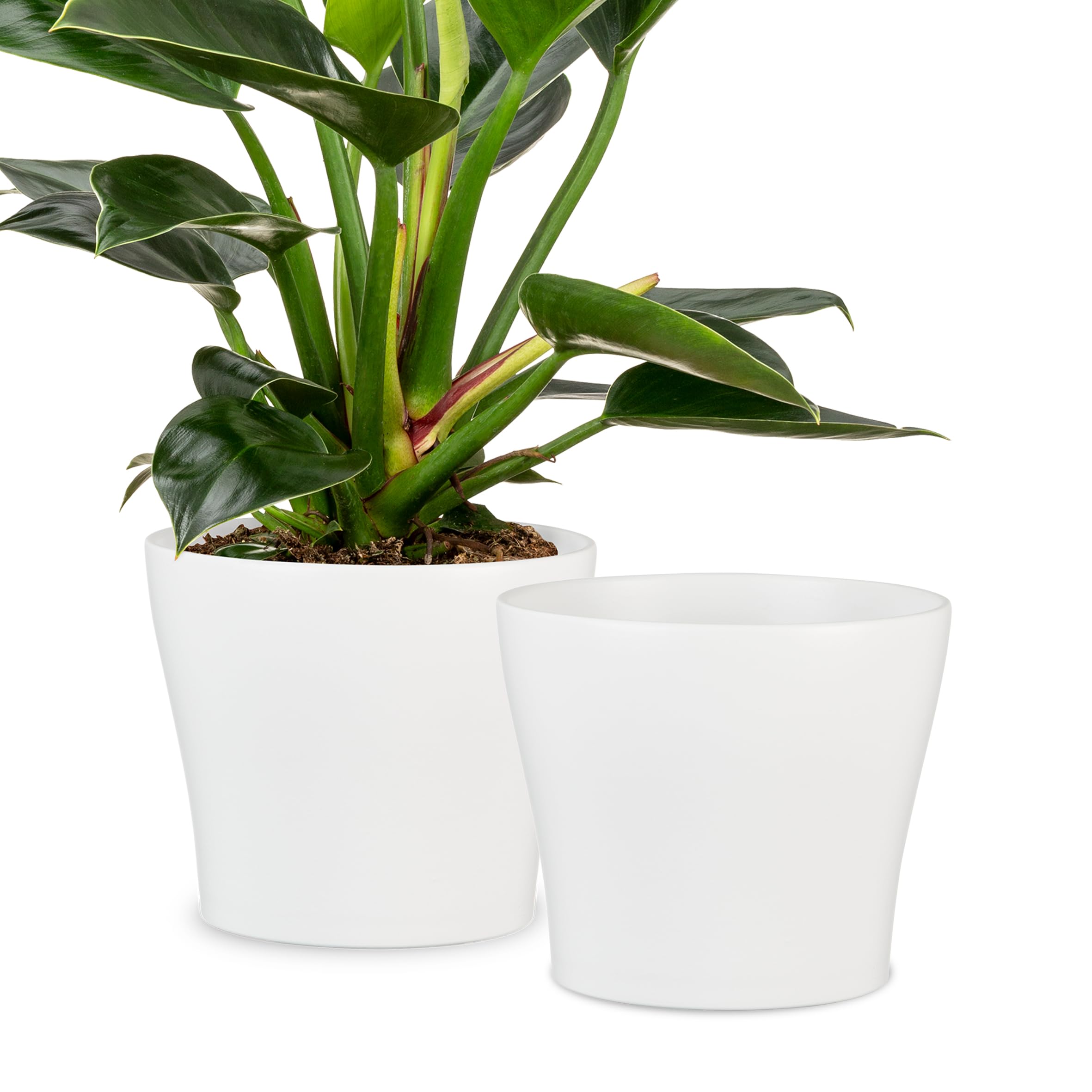 Amazon.com: Scheurich Set of 2 Classic Panna Ceramic Plant Pots