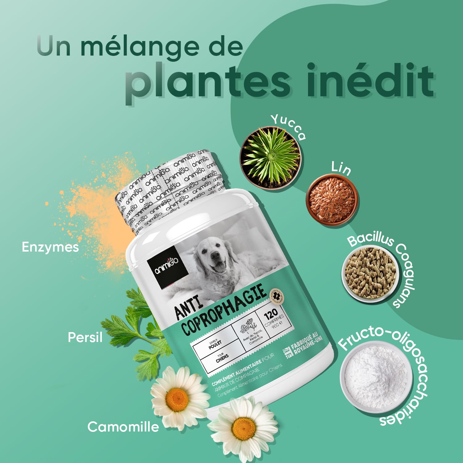 Anti Coprophagie Chien - 120 Comprimés Goût Poulet - Empêche Ingestion de Crottes, Confort Digestif, Haleine Fraîche - Enrichi en Yucca, Camomille, Persil, Probiotiques Chien & Enzymes Digestives