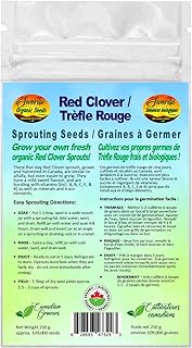 Red Clover Sprouting Seeds | Trèfle Rouge Graines à Germer | Certified Organic & Non-GMO | Net Wt. 250 Grams (Approx. 109,000 Seeds) | High Germination Rate | Product of Canada