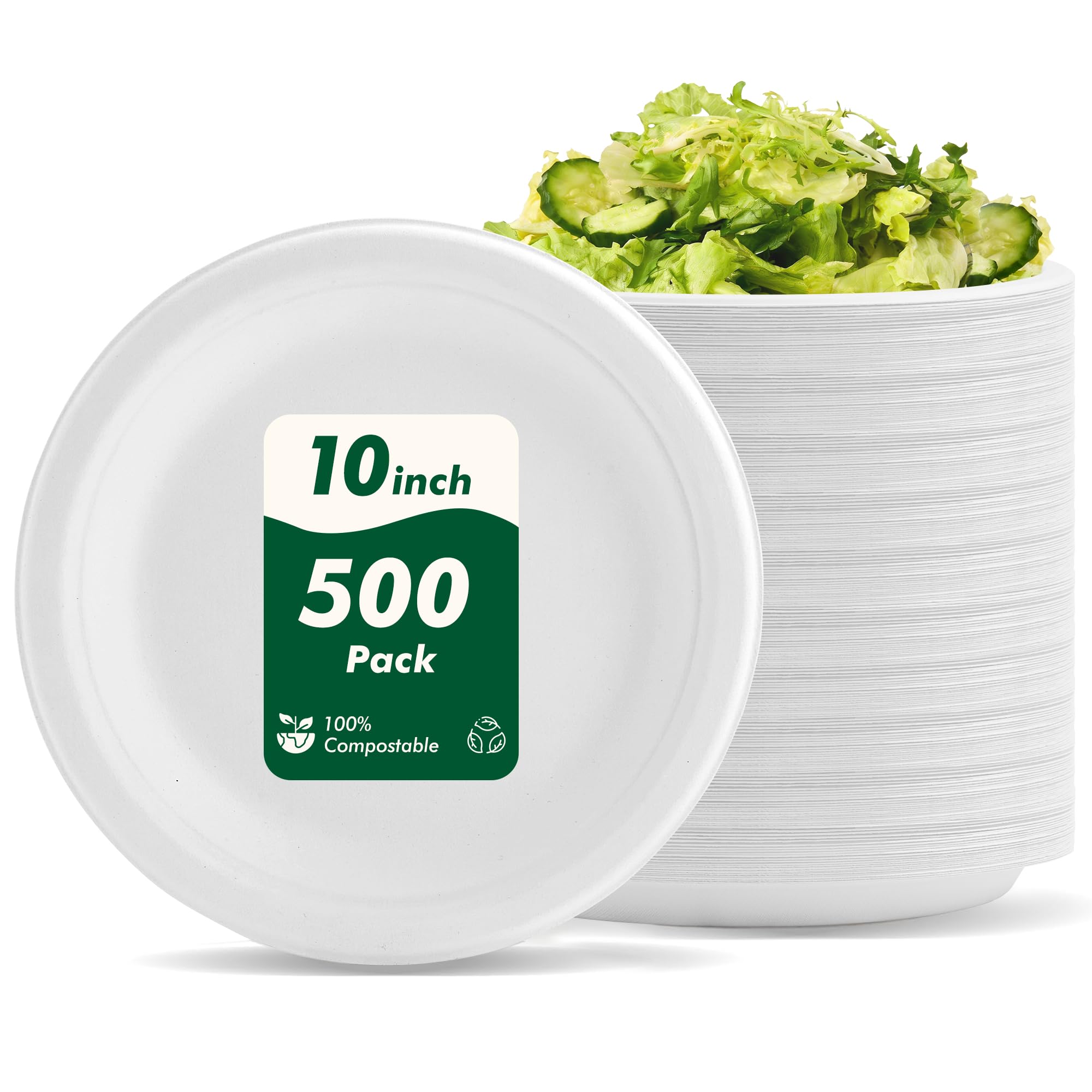 Compostable Paper Plates - 150 Pack (10 Inch) -11