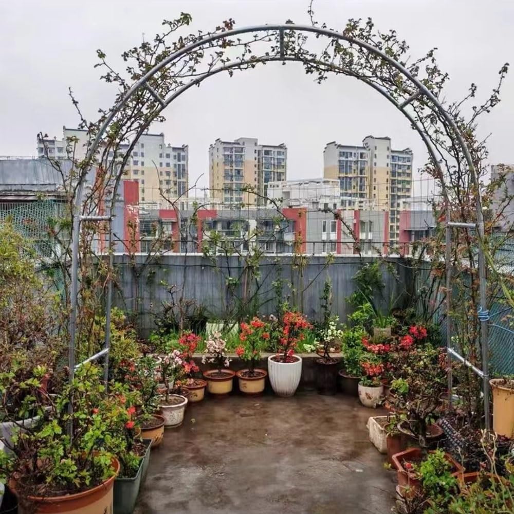 Gartenbon - Arco per rose da esterno, pergolato in metallo, larghezza 150-400 cm, perfetto per decorazione da giardino, esposizione floreale e sfondo per eventi (dimensioni: 2,6 x 2,4 m / 8.5 * 7.9ft)